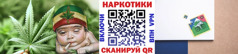 Альфа ПВП Дубна