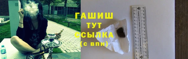 PSILOCYBIN Бородино