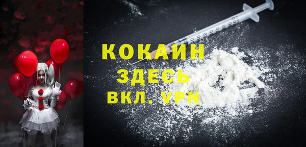 PSILOCYBIN Бородино
