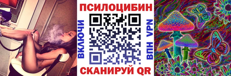 где найти наркотики  Дубна  Псилоцибиновые грибы Cubensis 